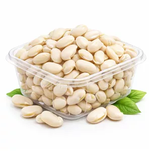 پاچ باقلا دانه شده