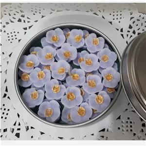 شمع باغ ارکیده
