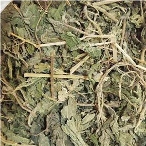 برگ گزنه