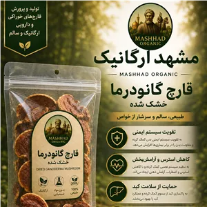 قارچ گانودرما 200 گرم ( گرید A+)