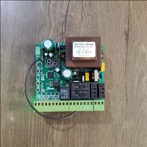 برد رامونو مینی