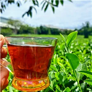 چای بهاره 1405 ارگانیک یک کیلو گرم 