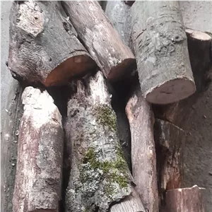 هیزم برای اتیش 19 کیلویی