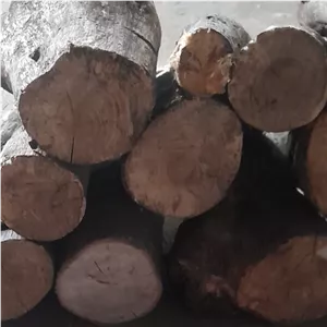 هیزم برای کباب  6 کیلویی