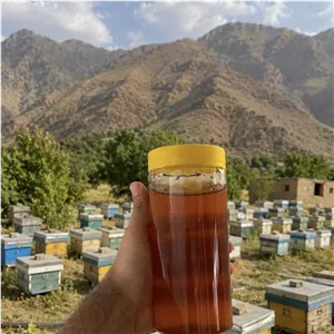 عسل پونه