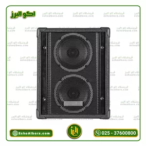 اکو همراه بیسیم 2660 باند ایران Bandiran (با میکروفن بیسیم)(پس کرایه)