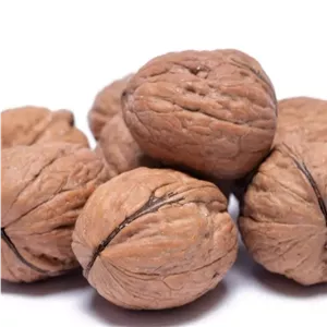 گردوی ایرانی اعلا 1 کیلوگرم