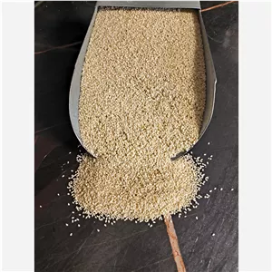 کنجد سفید یک کیلویی جهانسرا 