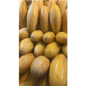 خربزه مشهدی 6کیلو 