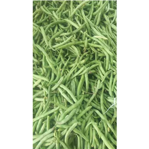 لوبیا سبز 6کیلویی