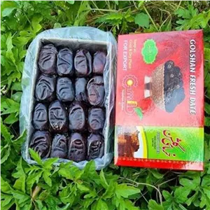خرما رطب مضافتیدرجه یک بم