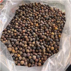 ابهل یا میوه سرو کوهی(قاعده آور و تنظیم کننده قاعدگی)
