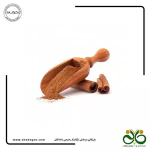 پودر دارچین