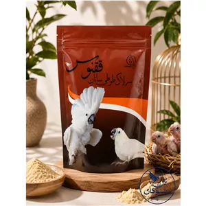 سرلاک ققنوس مناسب طوطیسانان.