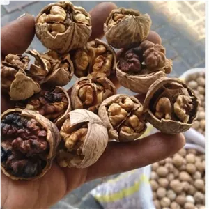 گردو اقتصادی تویسرکان عمده