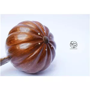 کمانچه کاسه پله ای حاج اکبری گریف استخوان