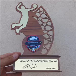 تندیس بهترین بازیکن والیبال( مخصوص باشگاه ها برای بازیکنان برتر هر ماه)