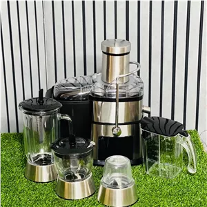 آبمیوه گیر 4 کاره دسینی مدل DS3388