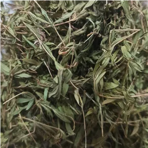 آویشن برگ کوهی