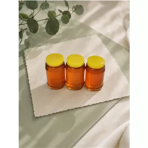 عسل گشنیز طبیعی کوهستان زاگرس ساکاروز زیر3 پک 3 کیلویی