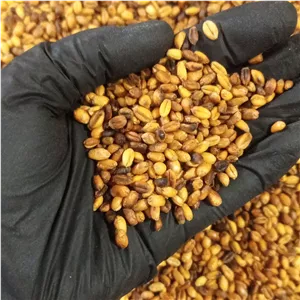 گندمک کم نمک سنتی