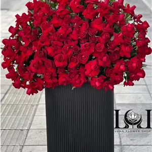 باکس گل رز قرمز BL104