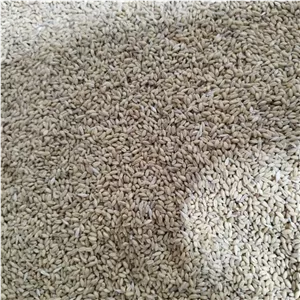 گندم خیلی تمیز بومی درجه یک