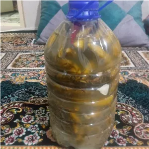 خیار شور ریز و ارگانیک 