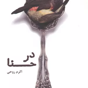 در حنا
