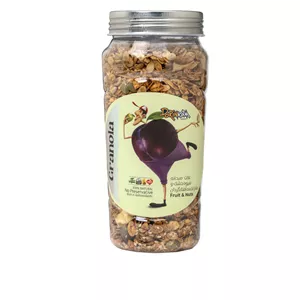 گرانولا جودوسر پرک و میوه خشک و مغز تخمه میکس شده با شیره خرما درین کام - 350 گرم