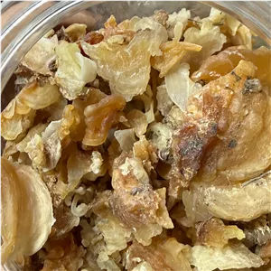 صمغ کتیرا گون کوهی 100گرمی