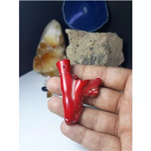 سنگ مرجان شاخه ای اصل و طبیعی