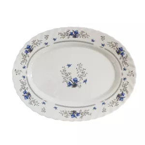 دیس پارس اُپال مدل M120 بسته 4 عددی