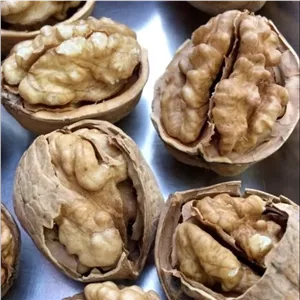 گردو کاغذی اعلا مراغه 500 گرمی ، گردوی امسالی dashi004