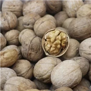 گردو پوست کاغذی گوشتی 500 گرمی dashi004