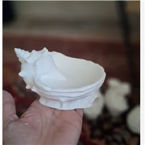 قالب سیلیکونی صدف پایه دار 