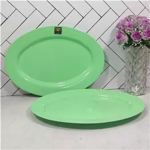T421 دیس بزرگ سبز ملامین پردیس ماهان (12) ارسال نیمه رایگان