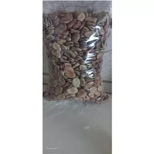 باقلا خشک 