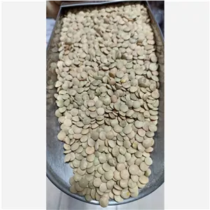 عدس سبز درشت