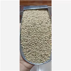 عدس ریز سبز