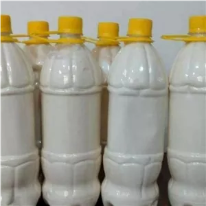 کشک تازه گوسفندی