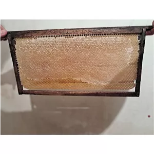 عسل طبیعی زاگرس بدون قند