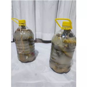 خیارشور ارگانیک سرغایه 4 کیلویی 