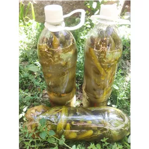 خیار شور ارگانیک سرغایه