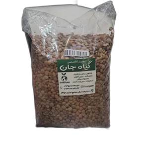 عدس درشت وعالی