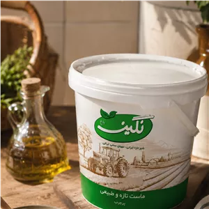 ماست 10 کیلویی چکیده نگین 