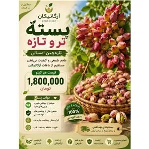 پسته تازه چین رفسنجان . محصول امسال