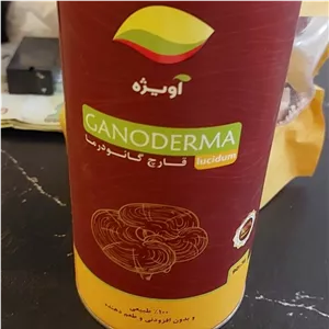 قارچ گانودرما طبیعی 90گرم