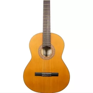 گیتار پارسی M3