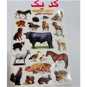 برچسب آموزشی حیوانات اهلی